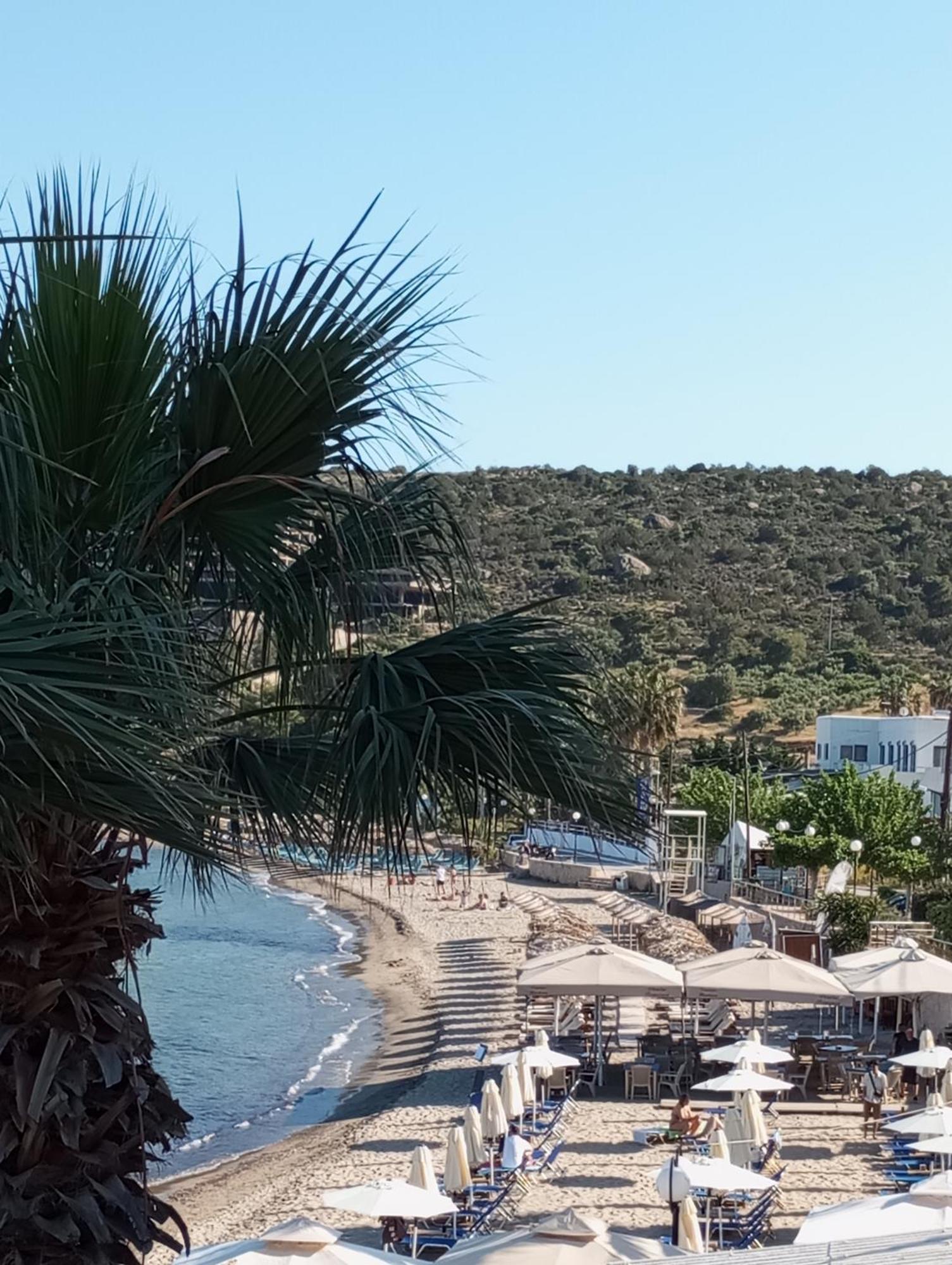 Agia Marina  Svetlana & Michalis Oasis Hotel מראה חיצוני תמונה